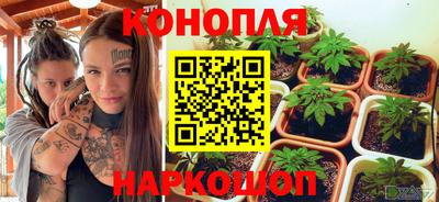 ГАЛЛЮЦИНОГЕННЫЕ ГРИБЫ Будённовск