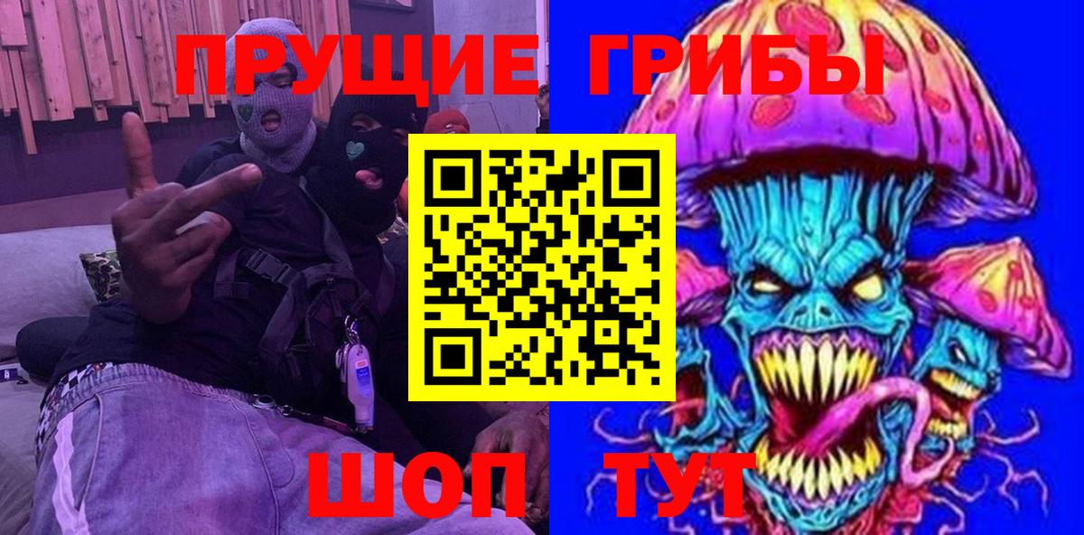 Котлас  Галлюциногенные грибы Psilocybine cubensis  Галлюциногенные грибы прущие грибы  Вход с VPN 