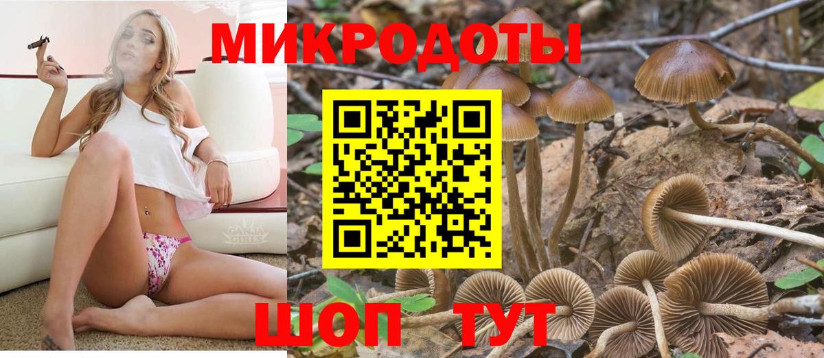 Псилоцибиновые грибы мухоморы Котлас